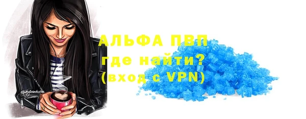 spice Новодвинск