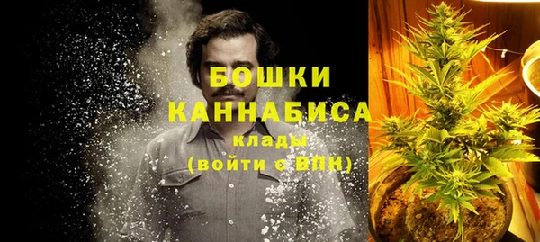 гидра Новокубанск
