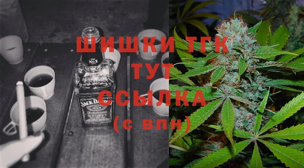 spice Новодвинск