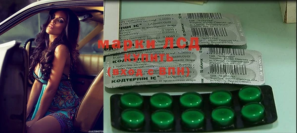 spice Новодвинск