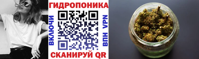 Шишки марихуана THC 21%  blacksprut рабочий сайт  Кедровый 
